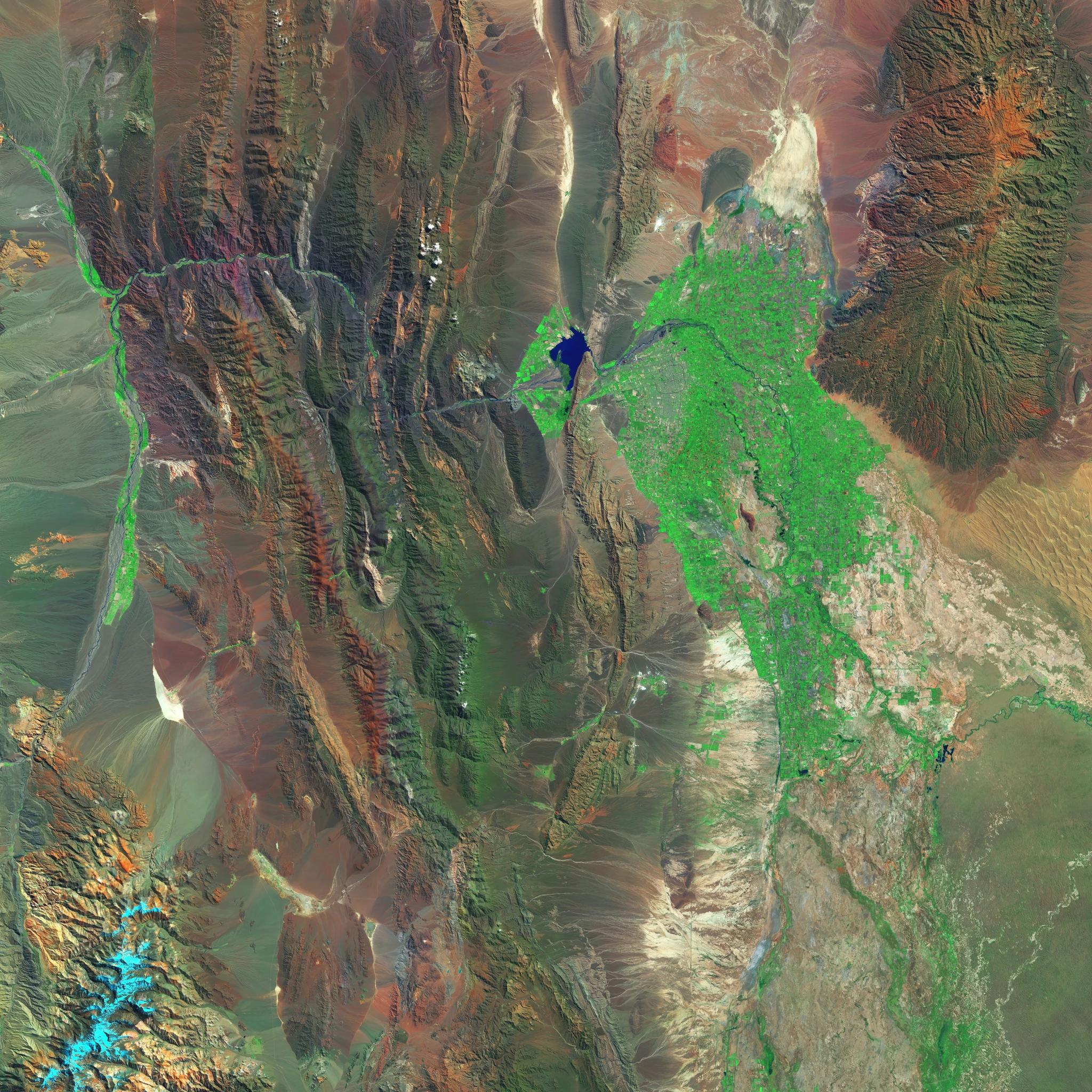 Harnessing AI power in agriculture